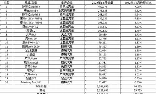 新能源汽车性能测试_新能源汽车测评数据分析报告