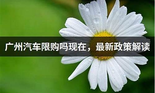 广州汽车限购政策有哪些条件_广州汽车限购政策有哪些条件呢